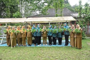 Pj Ketua TP PKK Optimalkan Hasil Panen Sayur Hidroponik Di Kebun PKK