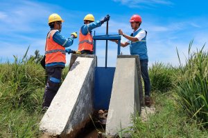 PLN Luncurkan Program Electrifying Agriculture untuk Tingkatkan Produktivitas Pertanian di Bengkulu