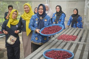 Pemkab Muara Enim dan PTBA Bersinergi Dukung Pengembangan UMKM