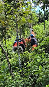 PLN Percepat Penormalan Listrik di Sungai Penuh dengan Pendirian Tower Emergency