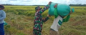 Sukseskan Program Katahanan Pangan Nasional, Babinsa Koramil 401-04 Lakukan Pendampingan Para Petani