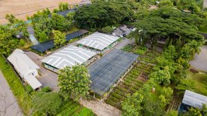 Wujudkan Pertambangan Berkelanjutan, Bukit Asam Dukung Program Net Zero Emission 2060