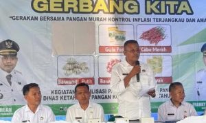 Gerakan Bersama Pangan Murah DIharapkan Jadi Solusi Masyarakat dalam Memenuhi Kebutuhan Pokok