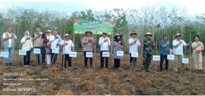 Dukung Program KPN, Kapolsek Tanjung Batu Bersama Anggota DPRD Dapil 5 dan Pemdes Tanjung Batu Seberang Giat Tanam Jagung Serentak Kuartal III