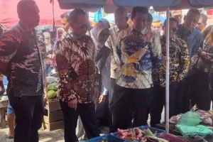 Mendagri Tito dan Mentan Amran Blusukan ke Pasar Km 5 Palembang, Cek Harga Pangan dan Stok Beras