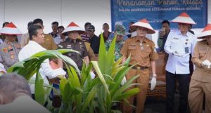Dukung Program Ketahanan Pangan Nasional, Ogan Ilir Sukseskan Penanaman 360 Ribu Pohon Kelapa Serentak se-Indonesia