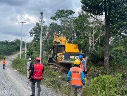 Jelang Idul Adha, PLN dan DLH Tanjab Barat Percepat Pembangunan Jaringan Listrik demi Keandalan Pasokan Masyarakat