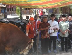 Bupati OKU Serahkan Langsung Sapi Kurban dari Presiden ke Warga di Kecamatan Muara Jaya