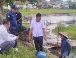 Desa Burai Mendunia: Raih Prestasi, Dilirik Internasional, BUMDes Sukses Kembangkan Sapi Bali