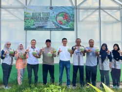 Panen Perdana Melon di Green House Lapas Tanjung Raja Dukung Program Ketahanan Pangan