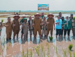 Panca Wijaya Akbar Hadiri Gerakan Tanam Nasional dari Desa Sejaro Sakti