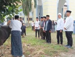 Idul Adha 1447 H, Walikota Prabumulih Serahkan 33 Sapi Kurban