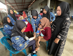 Dinkes Ogan Ilir Tingkatkan Kapasitas Kader Posyandu di Desa Bangun Jaya, Fokus Cegah Stunting dan Perkuat Layanan Kesehatan
