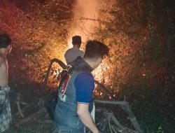 Cegah Api Meluas ke Permukiman, Damkar Muba Padamkan Karhutla di Petaling