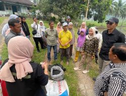 Wujud Hilirisasi Batu Bara untuk Pertanian, PTBA Bersama UGM Uji Coba Pupuk Kalium Humat di Sawahlunto